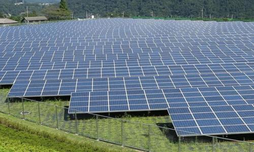 Belangstelling projectontwikkelaars zonneweides bij Westerlee neemt toe
