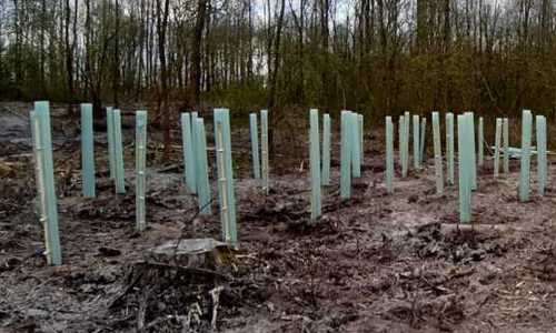 Daders herstellen zelf de schade in het natuurgebied de Garst