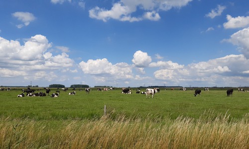 Geen XXL bedrijven bij Westerlee/Scheemda