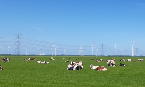 Start Stichting Gebiedsfonds Windpark N33